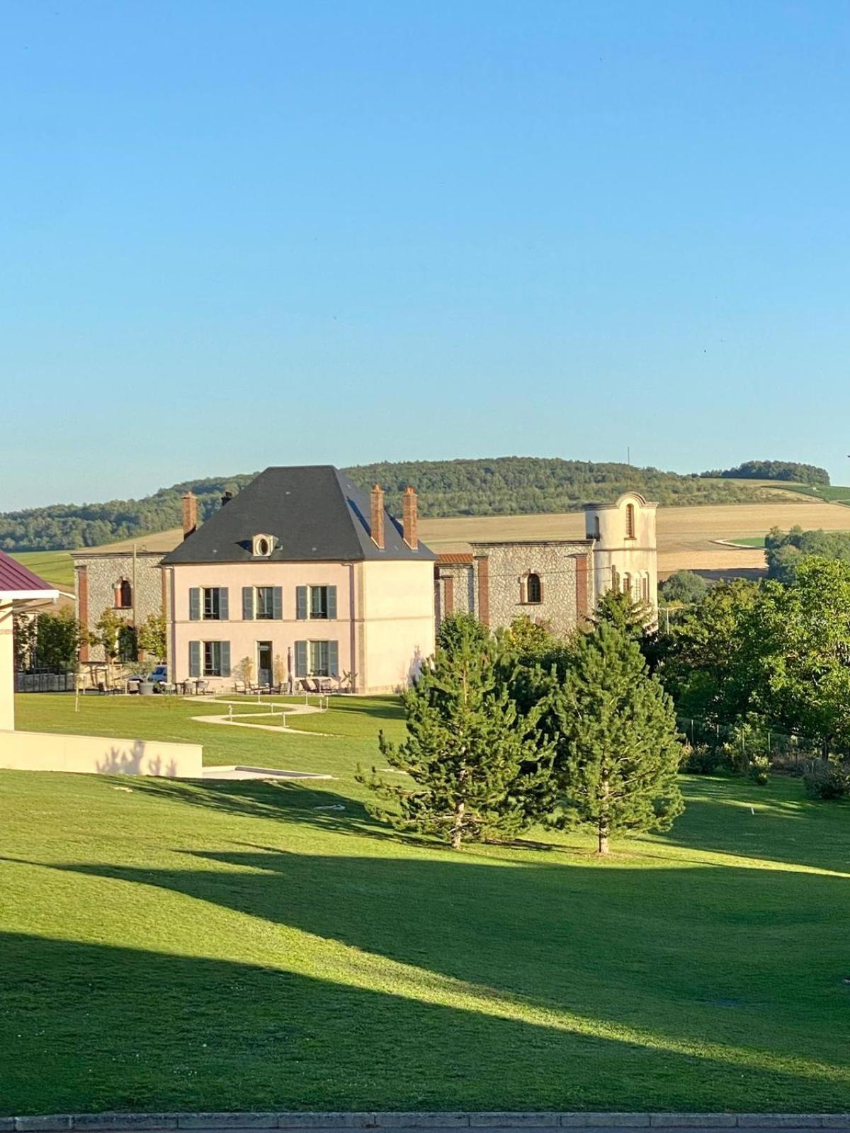 Villa Eulalie - Champagne Edouard Duval B&B Guest House Nestled In The Champagne Area Bligny Exterior photo